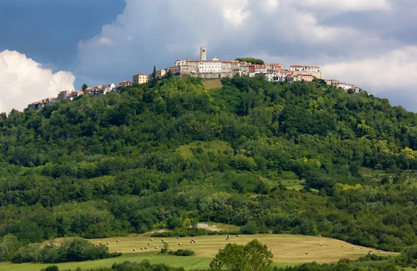 Pueblo de Motovun en Istria — Foto de Stock