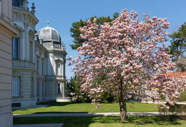 匈牙利凯斯泰利的法蒂克巴洛克宫殿公园 — 图库照片