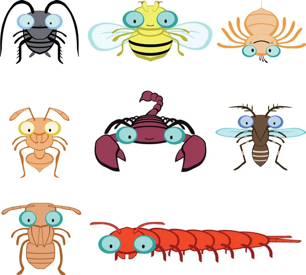 Insectos gráficos y artrópodos — Vector de stock