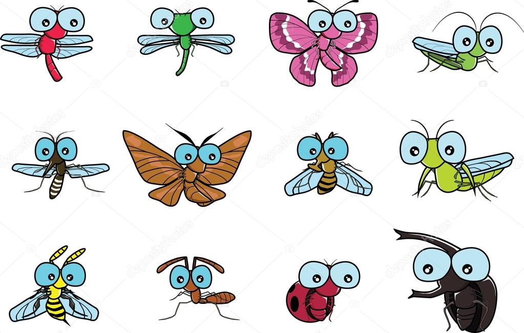 Various insects vector