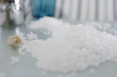 seasalt ve parlak bir yansıtıcı Counter seashell Close-Up