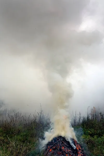 Hořící Smrkové Větve Hustý Kouř Stoupající Obloze — Stock fotografie
