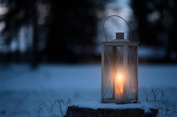 Ljuslykta Snö Mot Defocused Skog Bakgrund — Stockfoto