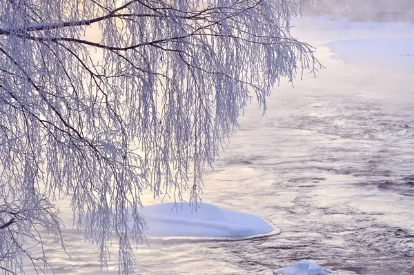 寒い冬の日に凍る川の水の上に霜が木の枝と霧を覆いました — ストック写真