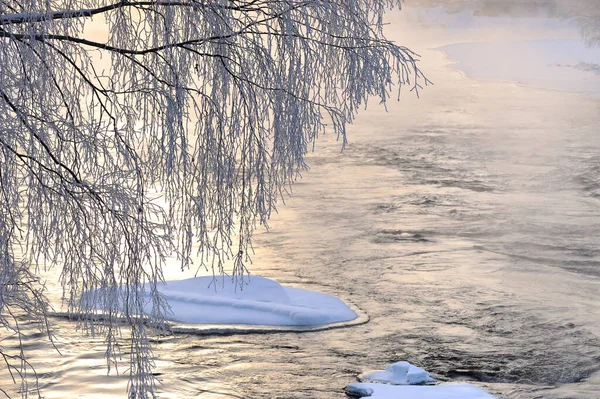 Hielo Cubierto Ramas Árboles Niebla Sobre Agua Helada Del Río —  Fotos de Stock