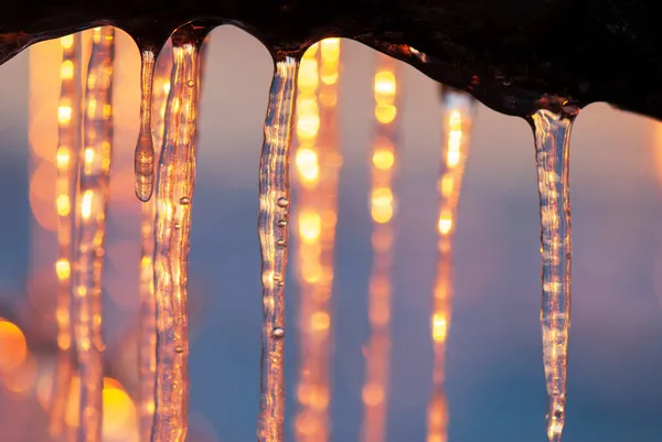 Detailní Záběr Rampouchů Osvětlených Nízkým Úhlem Zimního Slunce — Stock fotografie