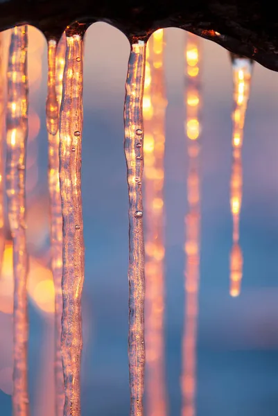 Detailní Záběr Rampouchů Osvětlených Nízkým Úhlem Zimního Slunce — Stock fotografie