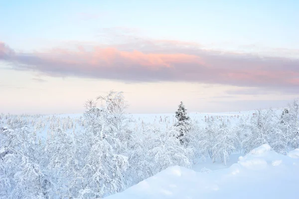 ラップランドの冬 風景を覆う厚い雪 — ストック写真