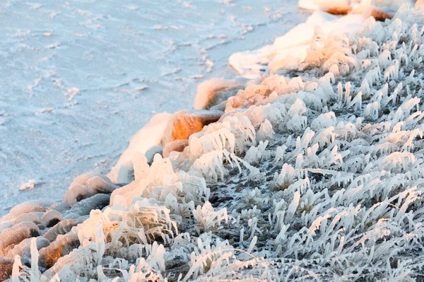 覆盖着冰的草和岩石 — 图库照片
