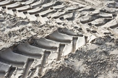 Kumda tekerlek izlerine yakın çekim.