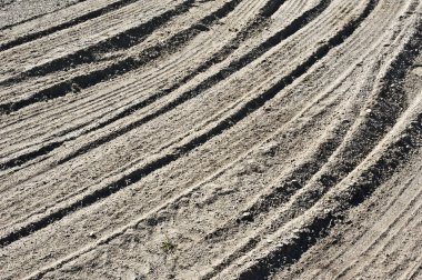 Kumda tekerlek izleri.