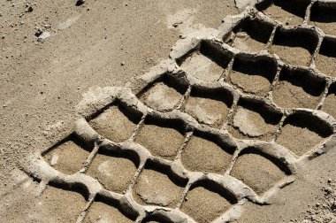 Kumda tekerlek izine yakın çekim