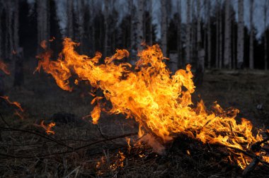 Kamp ateşi, ateş ve duman.