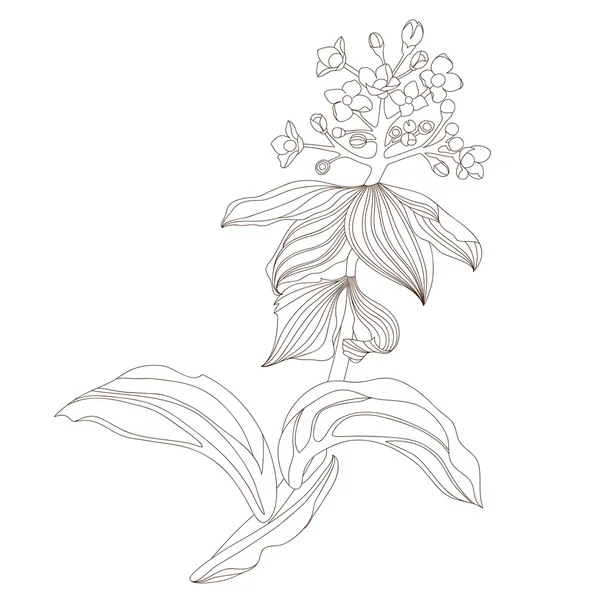 Diseño floral, ilustración vectorial — Archivo Imágenes Vectoriales