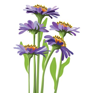 Vector floral tasarım, mor aster