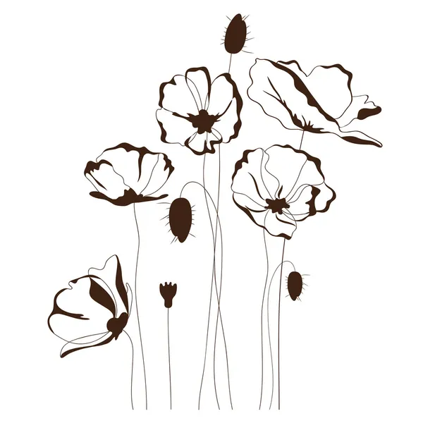 Poppy design, fundo floral — Vetor de Stock