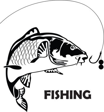 Carp fish, vector illustration
