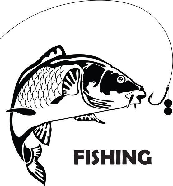 Carpa de peixe, ilustração vetorial — Vetor de Stock