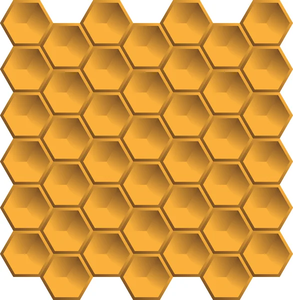 Bienenwaben — Stockvektor