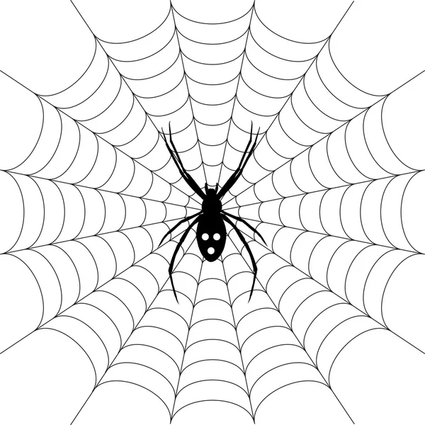 Spider — Stock Vector