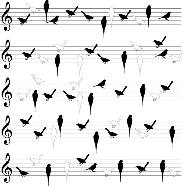 Lignes de notation des oiseaux — Image vectorielle