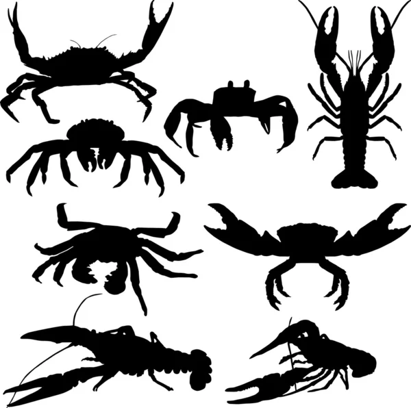 Crawfish and crab — Stock Illustration Crawfish and crab Stock Vector