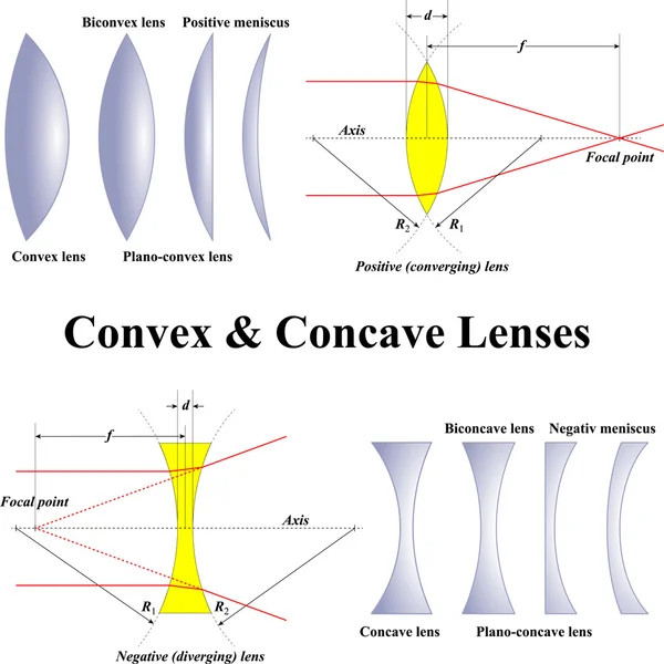 Lenti convesse e concave — Vettoriale Stock