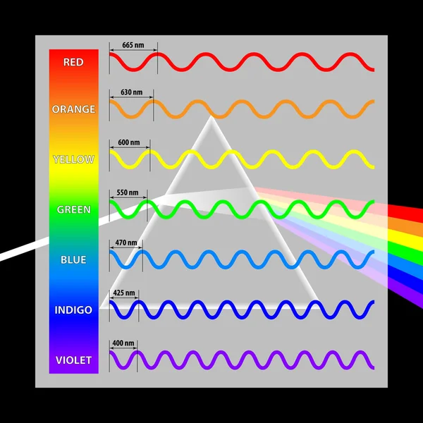 Cores de comprimento de onda no espectro — Vetor de Stock