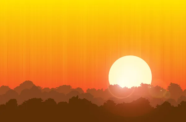 Atardecer forestal — Vector de stock