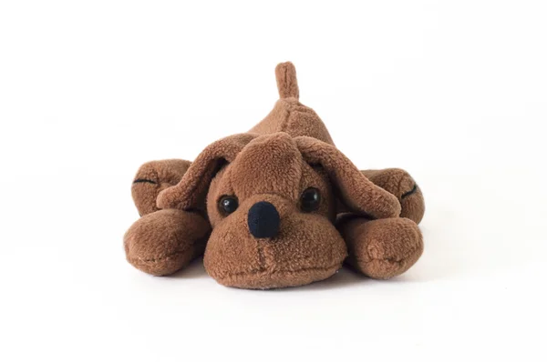 Stuffed dog — Stock Photo, Image