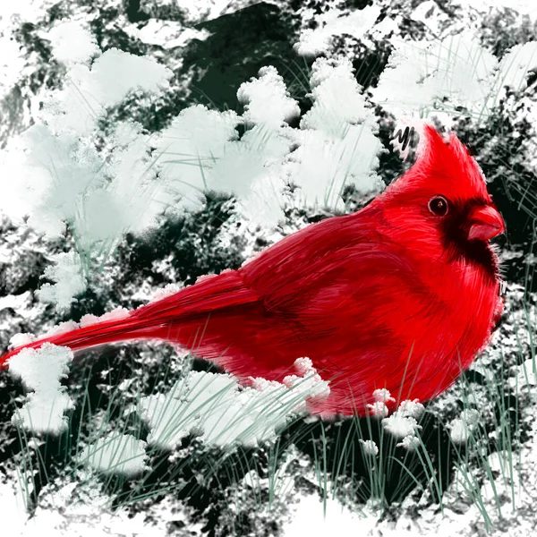 鸟油漆 Cgi打印 — 图库照片