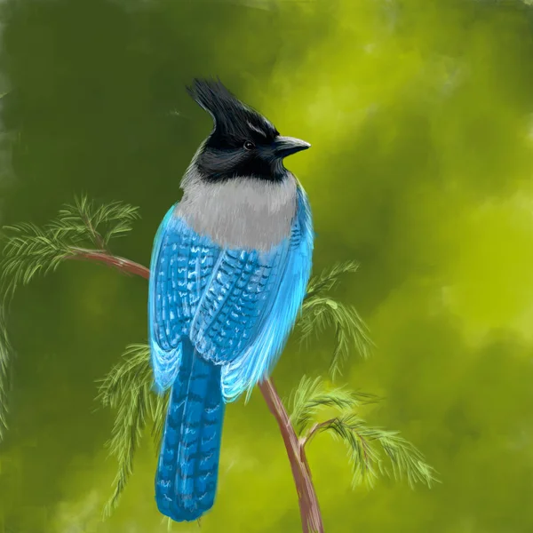 Vogelfarbe Cgi Druck — Stockfoto