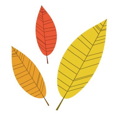 Üç renkli sonbahar yaprakları, düz bir şekilde dekoratif çizimler. Dekor için kırmızı, sarı ve turuncu yapraklar, sonbahar tasarımları, karikatürler, web siteleri.