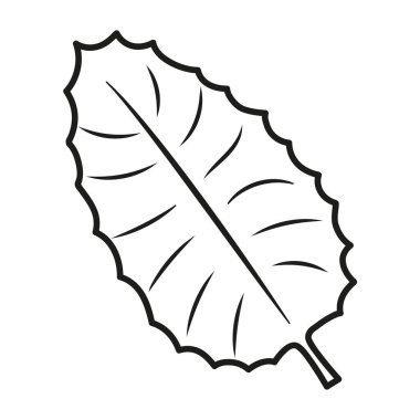 Tek bir siyah çizgide günlük keskin yaprak, dekoratif sanat, izole nesne, botanik vektör çizimi, dekoratif baskı.