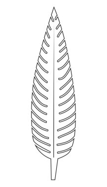 Siyah bir çizgide büyük dikey palmiye yaprağı, dekoratif sanat, izole nesne, botanik vektör çizimi, dekoratif doğal baskı..