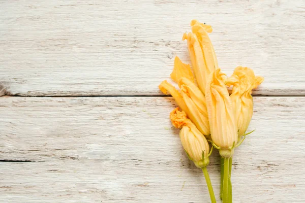 Цуккини цветок лежит на белом деревянном фоне — стоковое фото