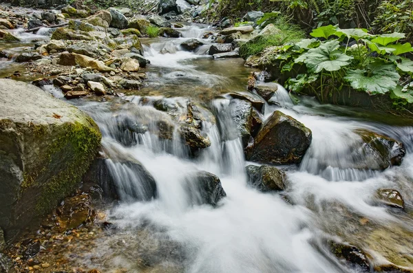 Creek en automne — Photo