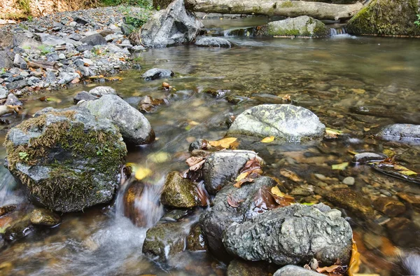 Beautiful creek — Stock Photo, Image