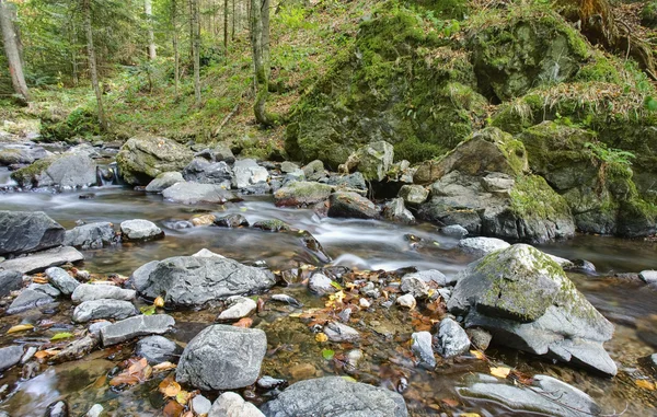 River in mountain forest — Stock Photo, Image