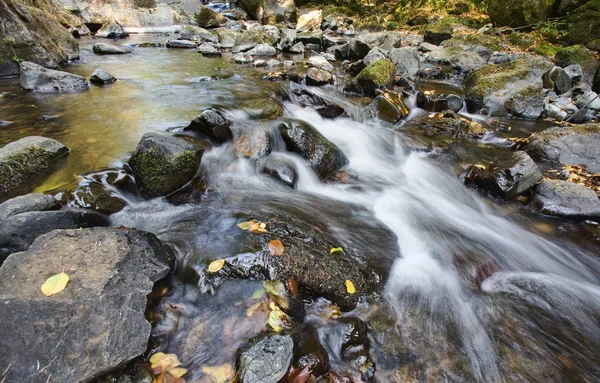 Herfst de creek — Stockfoto