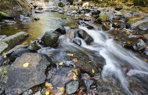 Rivier in het bos — Stockfoto