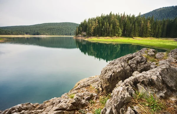 Lake the forest in mountain — Stock Photo, Image
