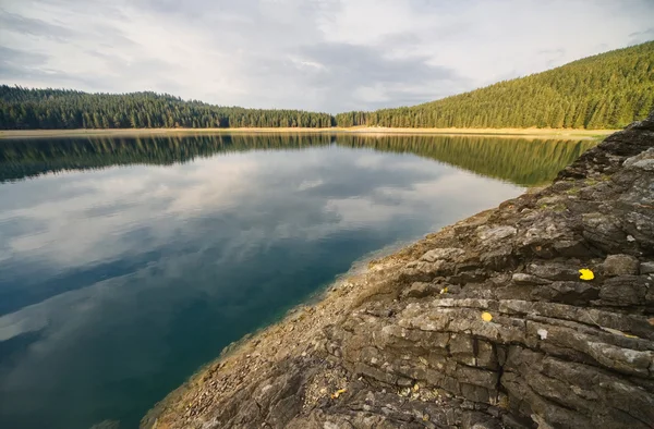 Jezioro lasu, w góry — Zdjęcie stockowe