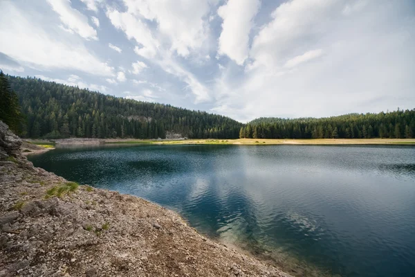 Meer het bos in Bergen — Stockfoto