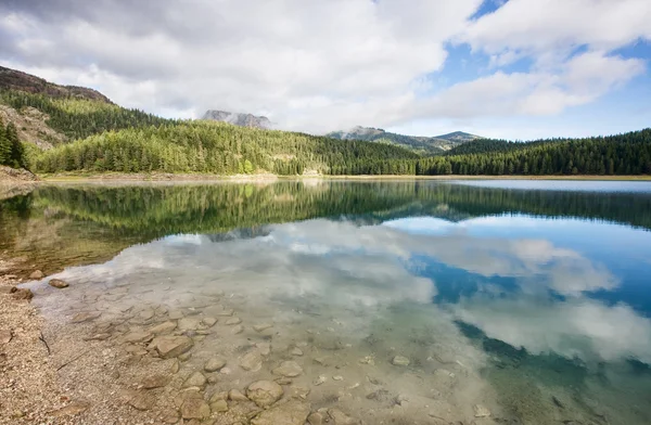 Lago del bosque en la montaña — Foto de Stock