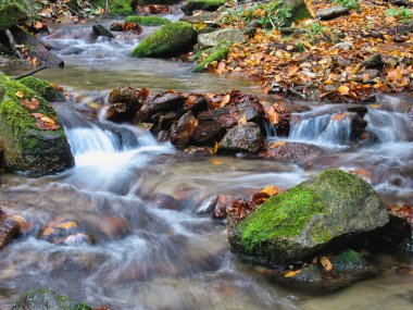 Ekim Stream