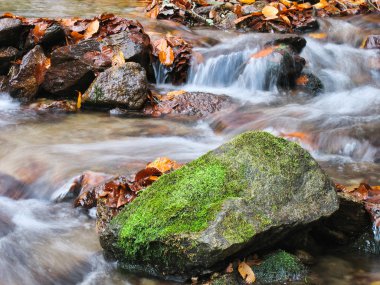 Ekim Stream