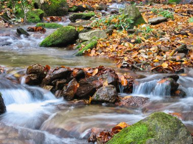 Ekim Stream