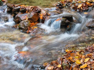 Ekim Stream