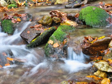 Ekim Stream